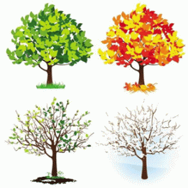 Four-Seasons-Trees